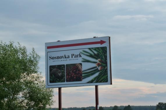 Sosnovka Park